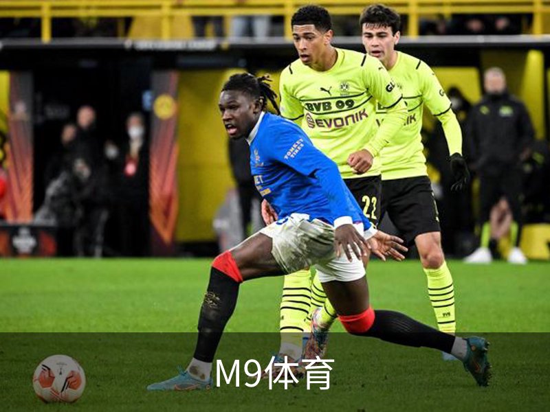 了解M9体育